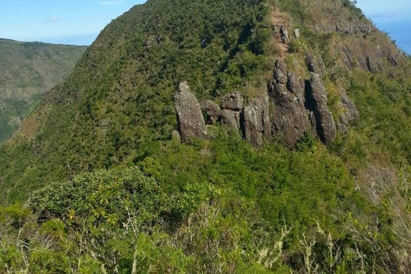 La crête vers Dos d'Âne, La Réunion