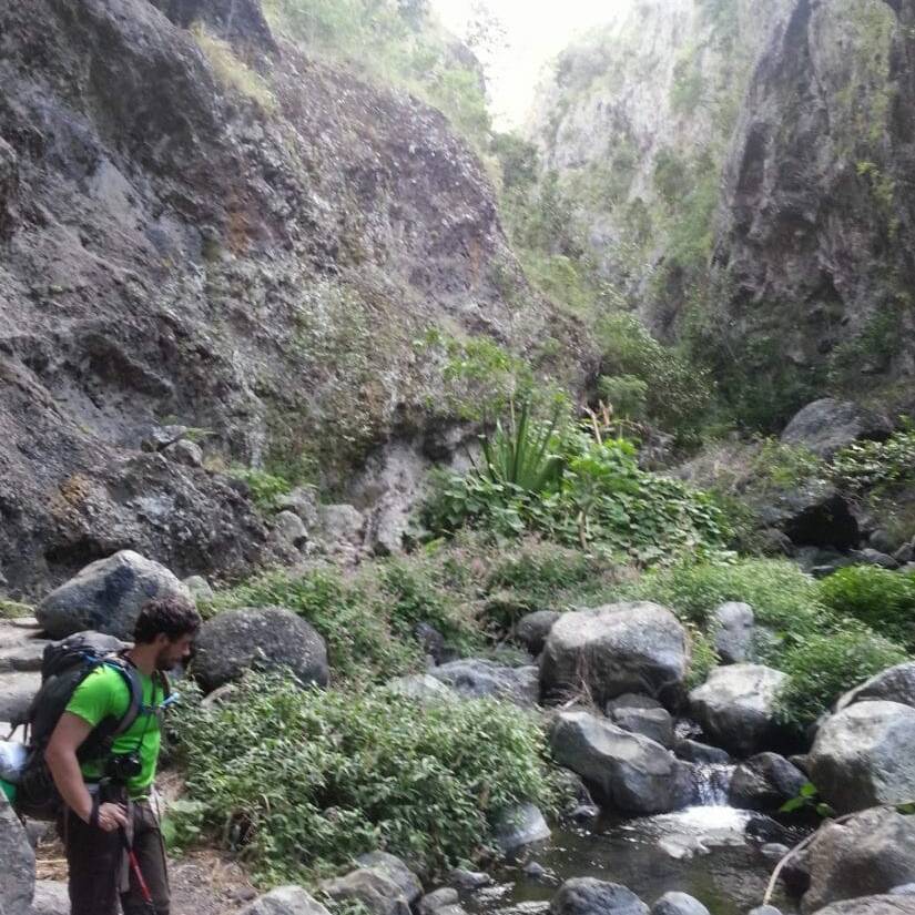 Non loin de l'Îlet des Lataniers, La Réunion
