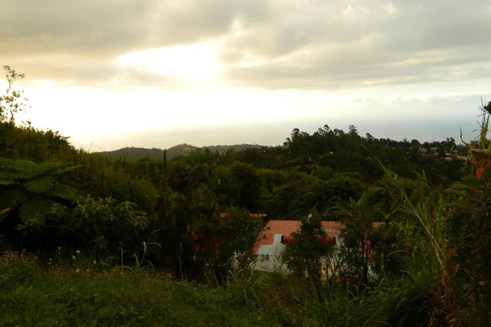 L'Océan Indien depuis Le Brûlé, La Réunion