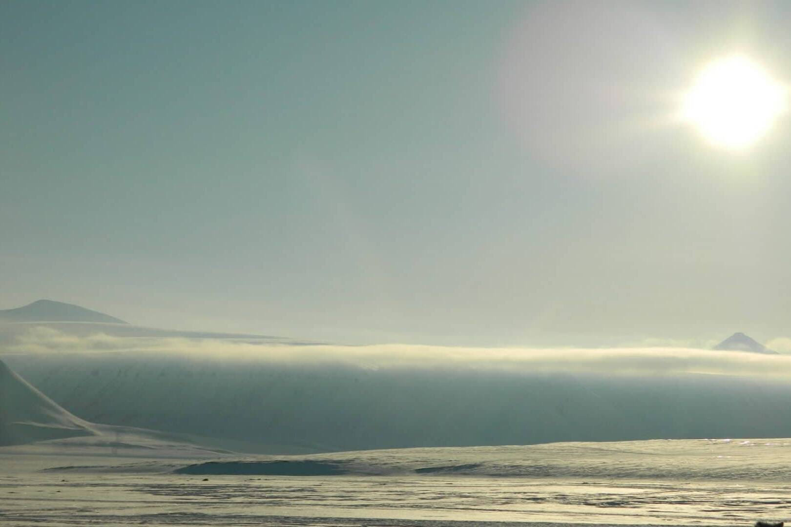 Du blanc, Svalbard