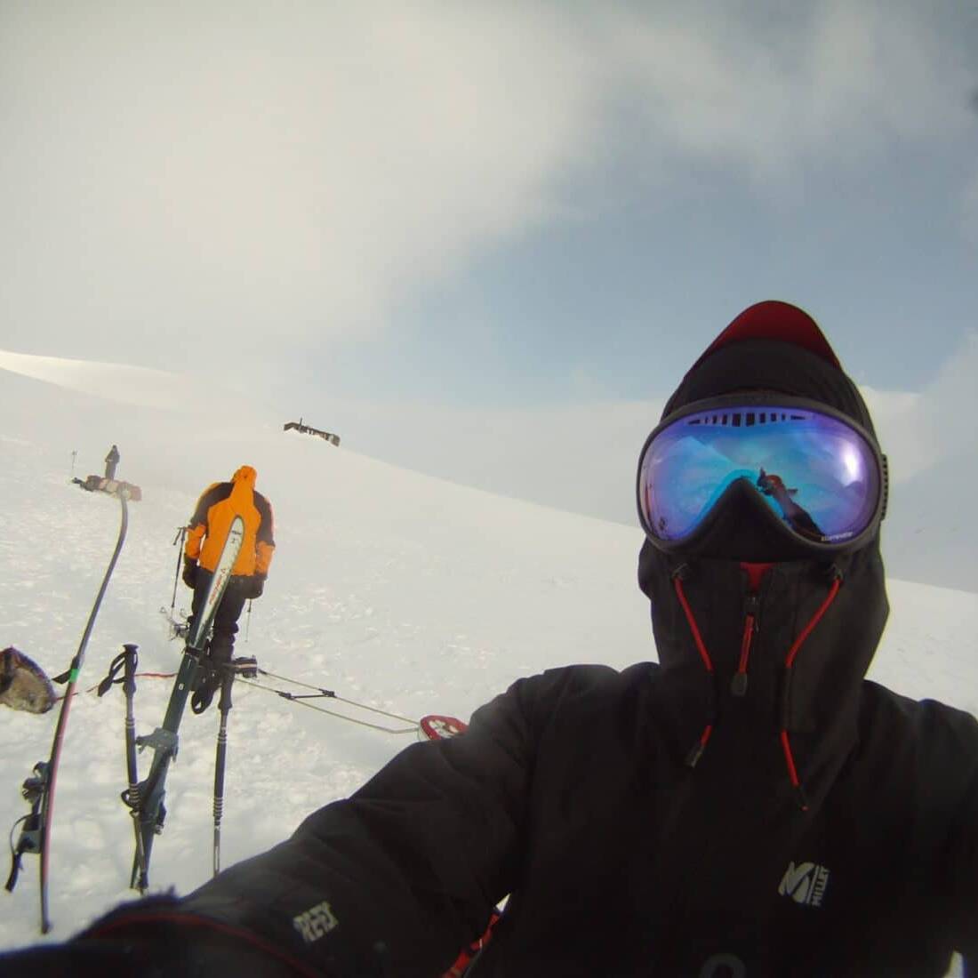Bien couvert, Svalbard