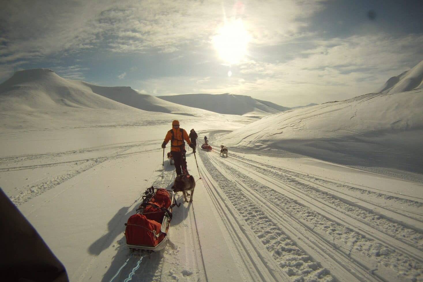 Tous en file indienne, Svalbard