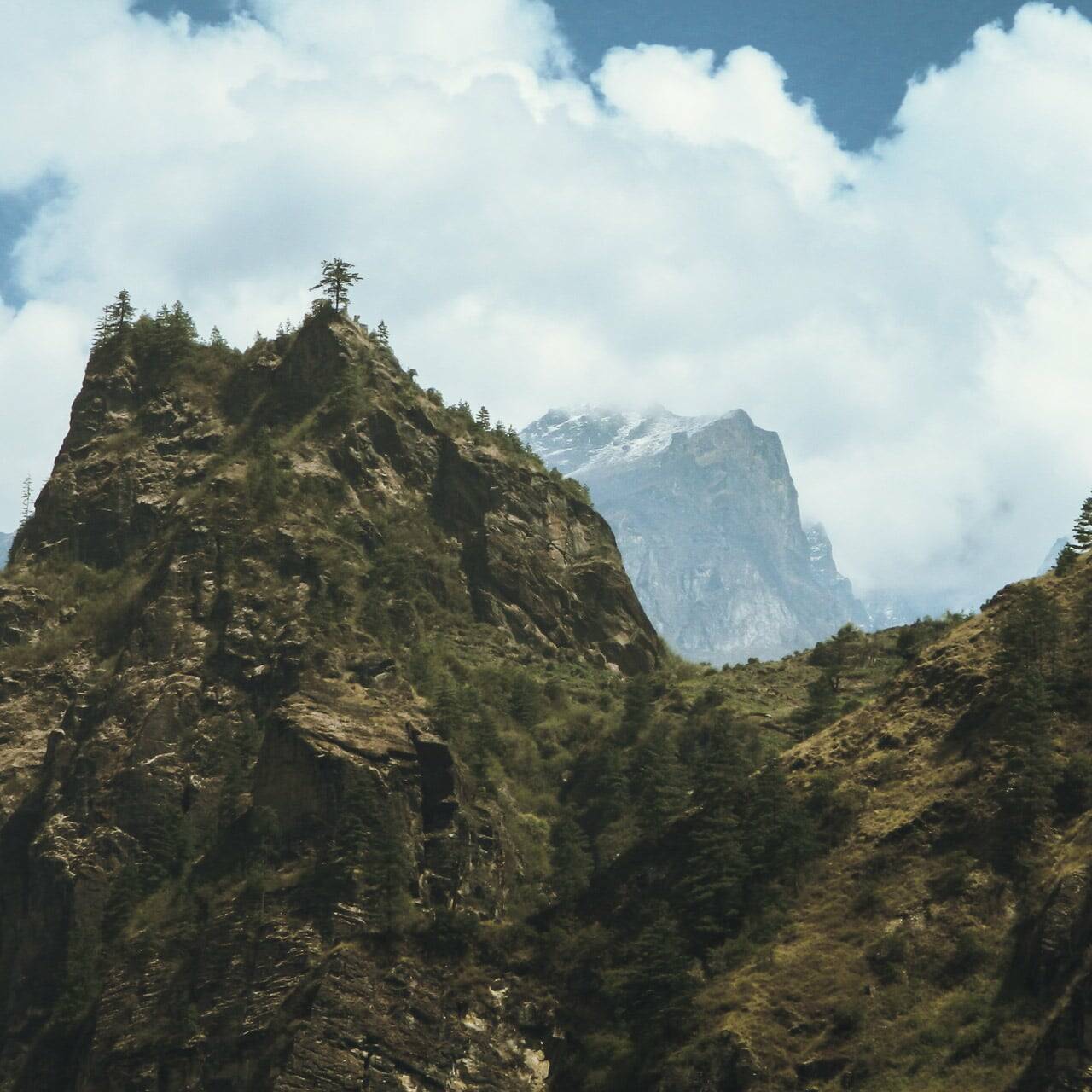 Paysage le long du trek, Népal