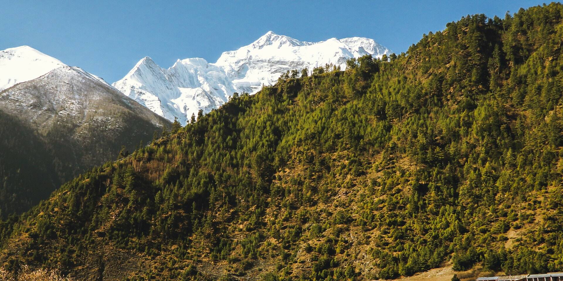 L'Annapurna II, Népal