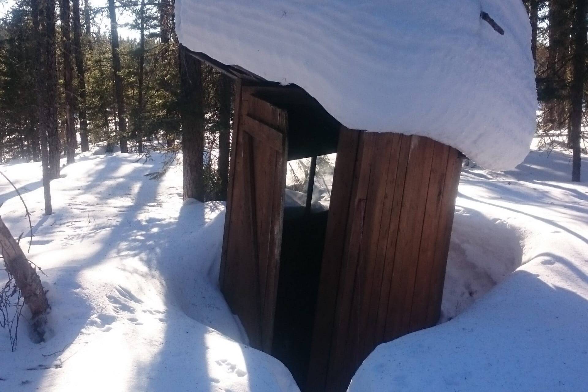 La cabane au fond du jardin - Chiens de traîneau