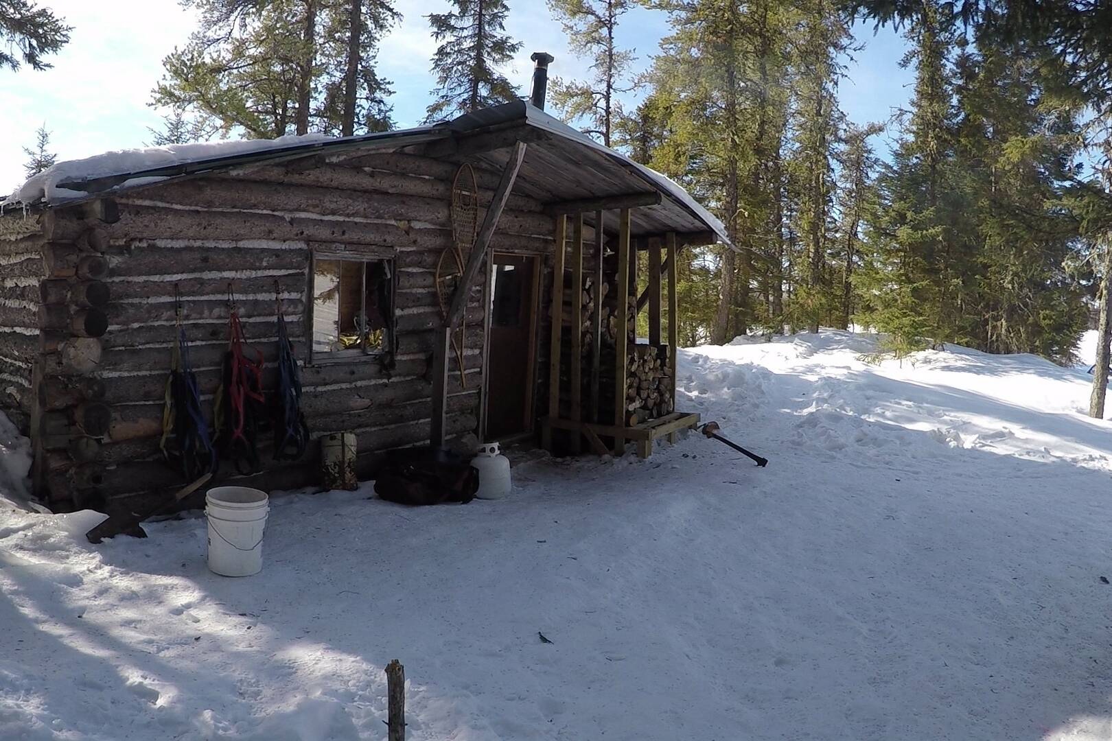 Camp 1 - Chiens de traineau