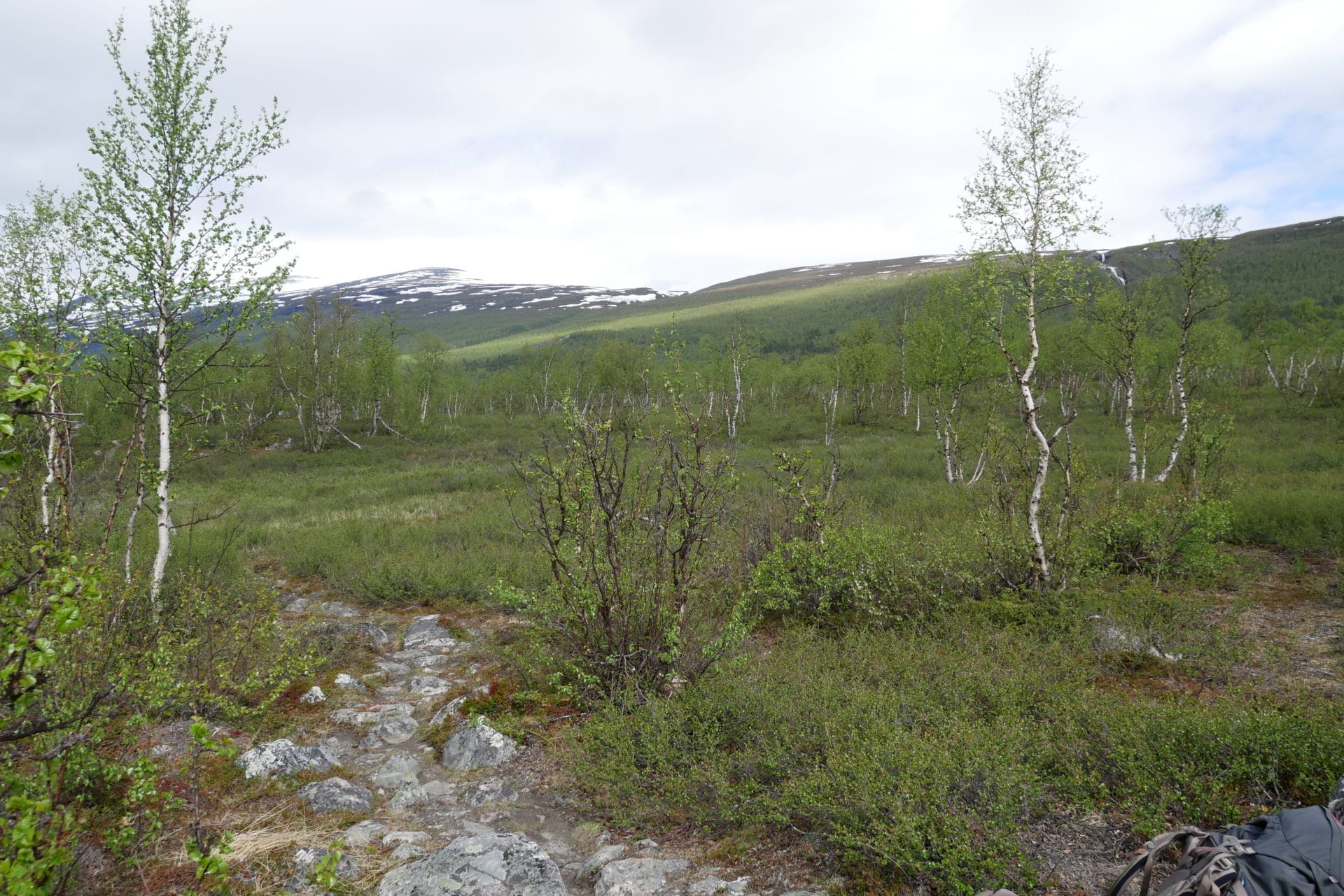 Chemin dans la vallée de Vistas - Laponie