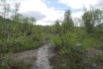 Chemin dans la vallée de Vistas - Laponie