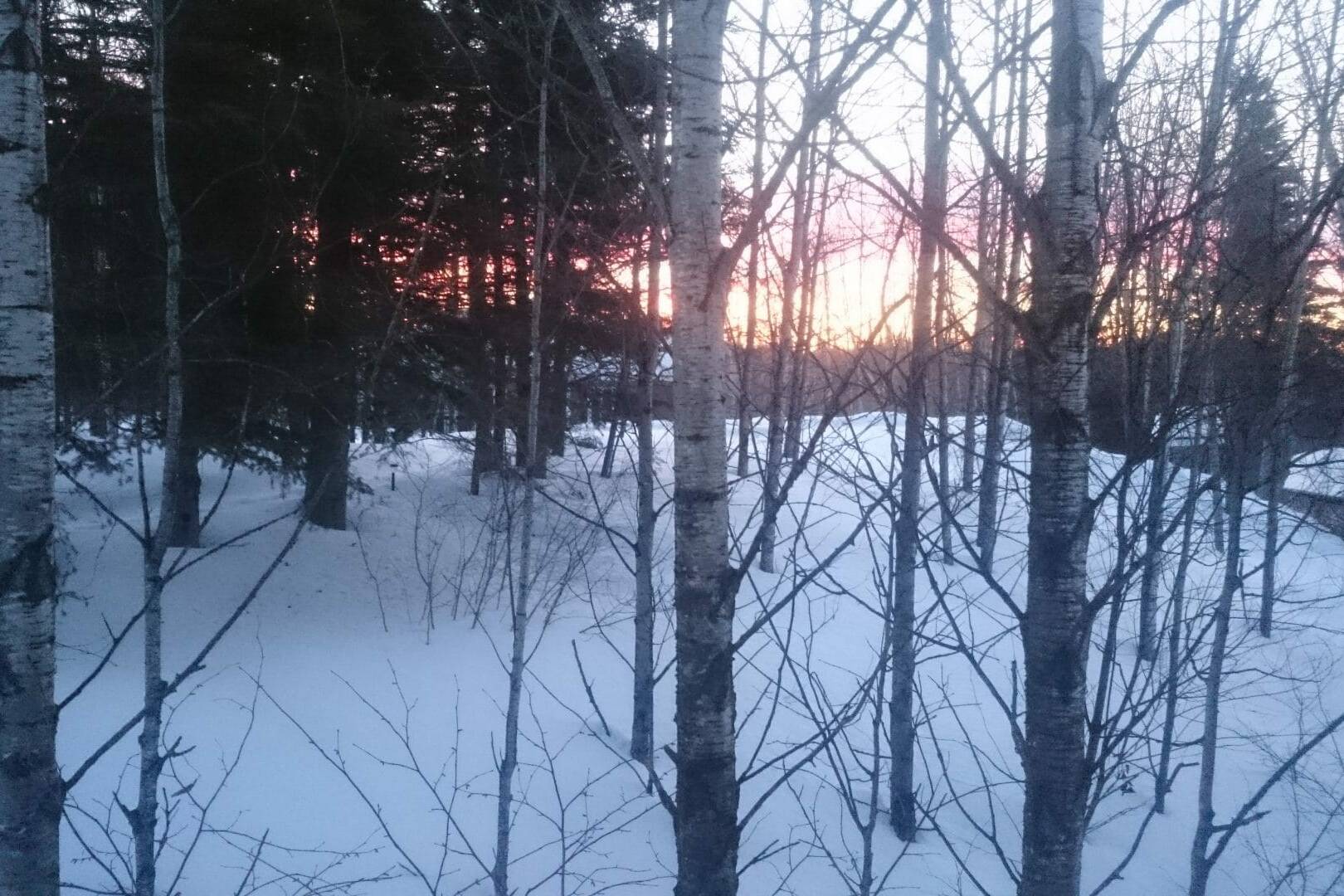 Coucher de soleil - Chiens de traineau