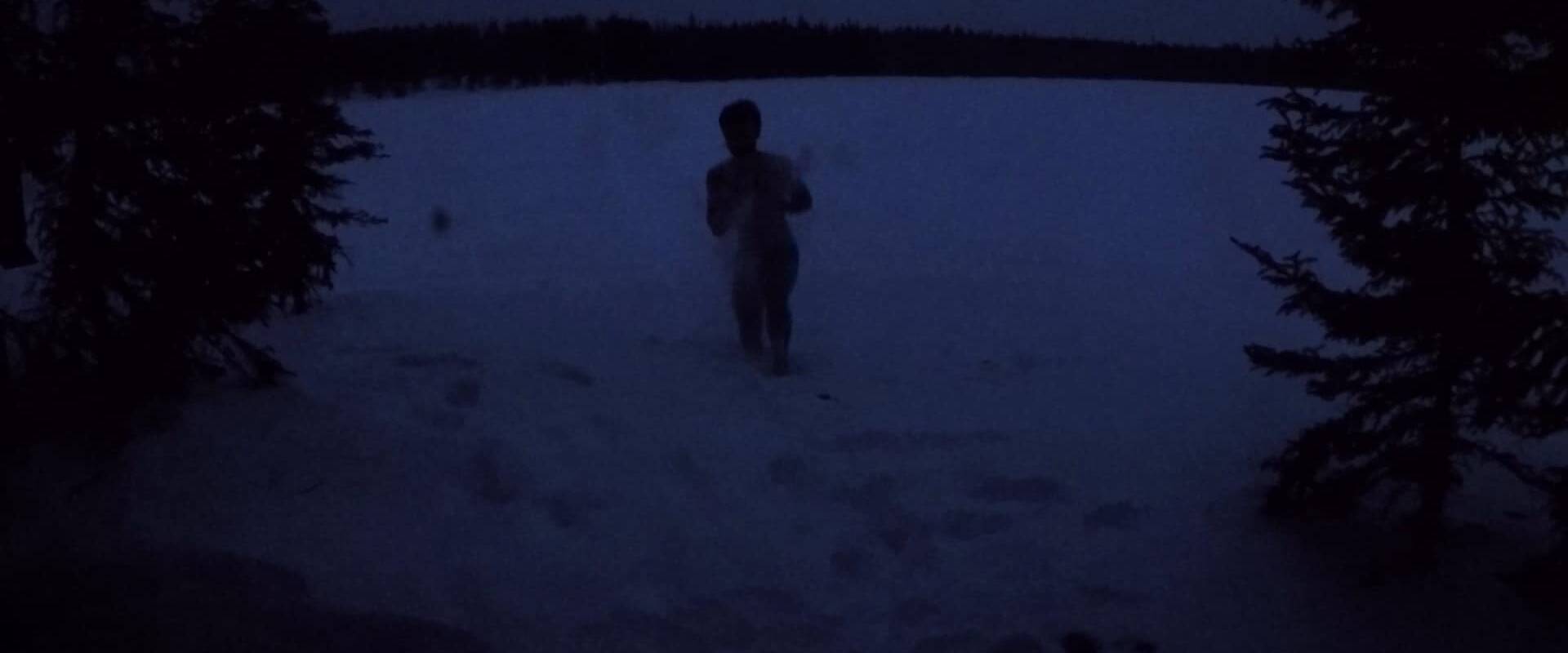 Douche de neige - Chiens de traineau