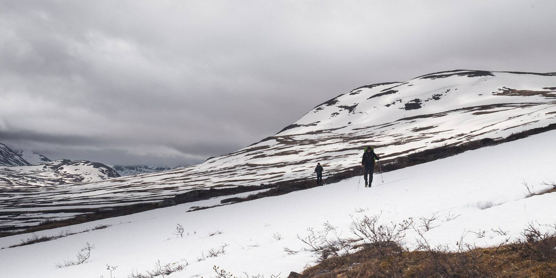 Into the Wild - Laponie