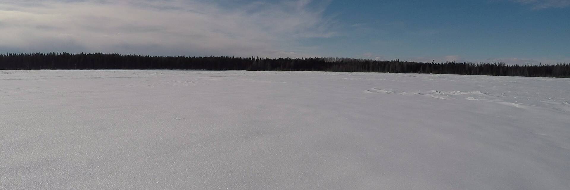 Lac du camp 2 - Chiens de traineau