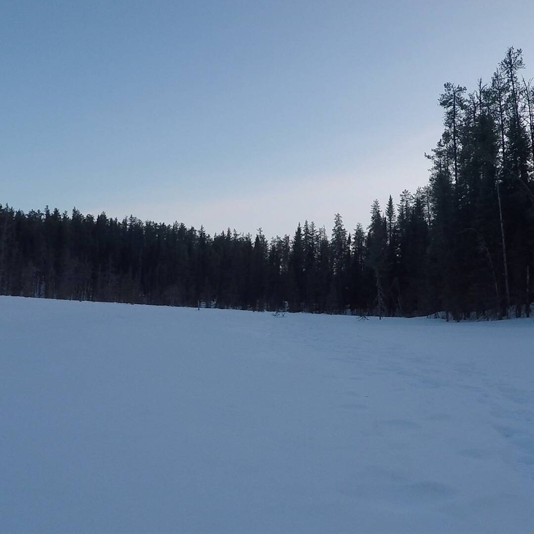 Lac camp 3 - Chiens de traineau