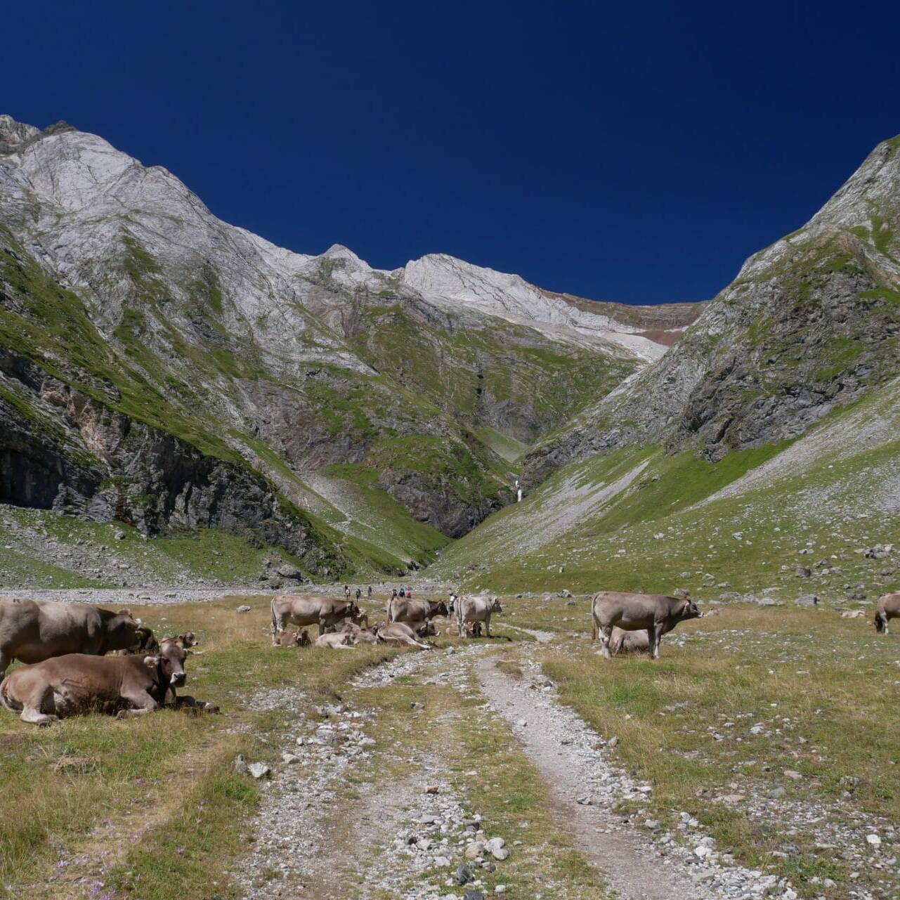 Les Oulettes d'Oussoue - Pyrénées