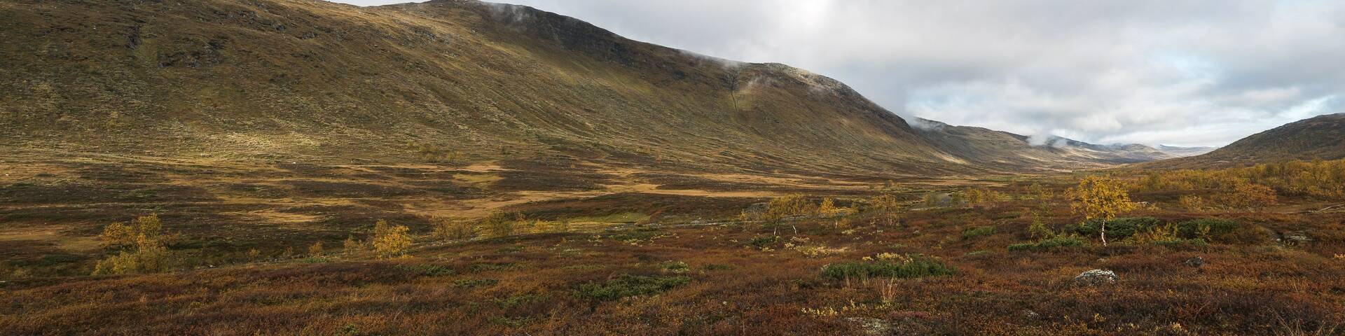 Panorama dans Taradalen - Sarek