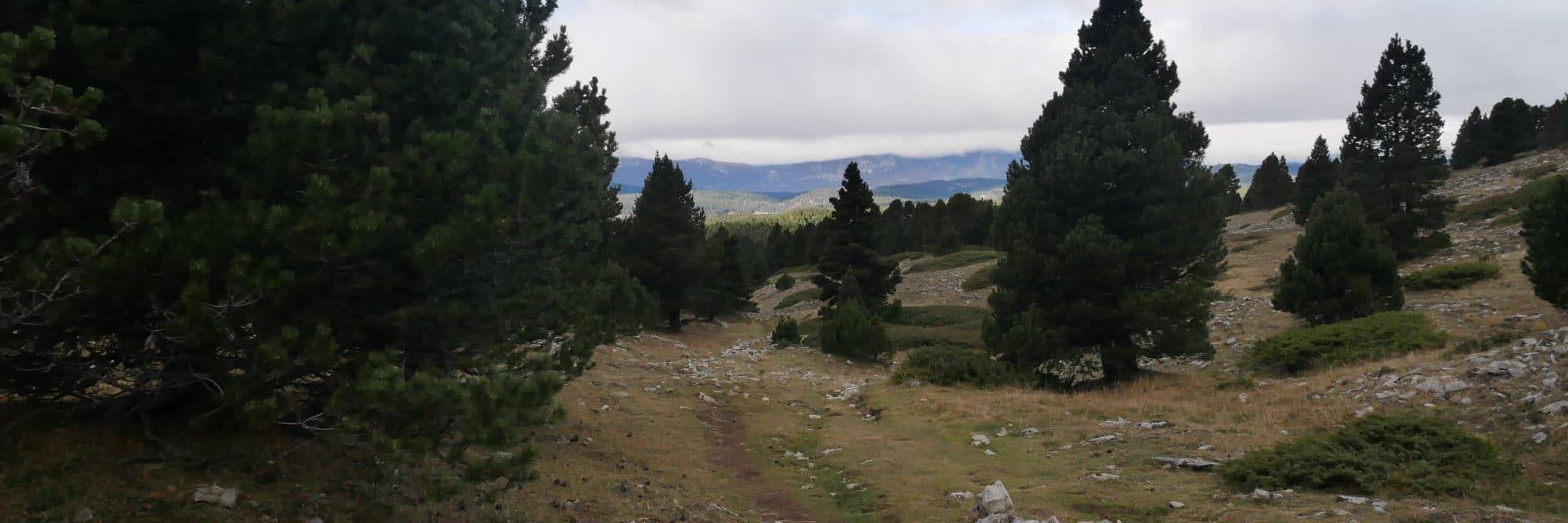 Paysage du Vercors