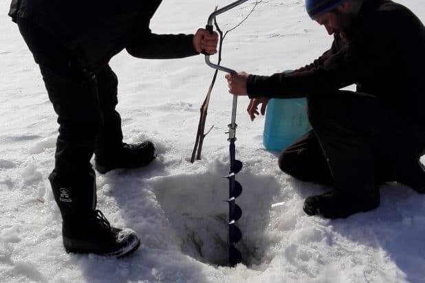 Trou dans la glace - Chiens de traineau