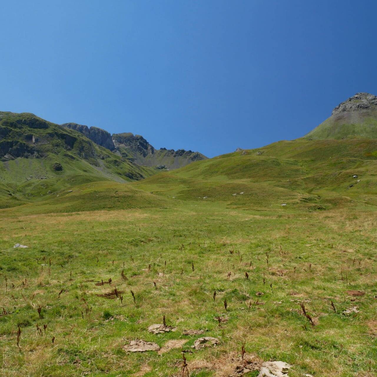 Paysage vers Gavarnie - Pyrénées