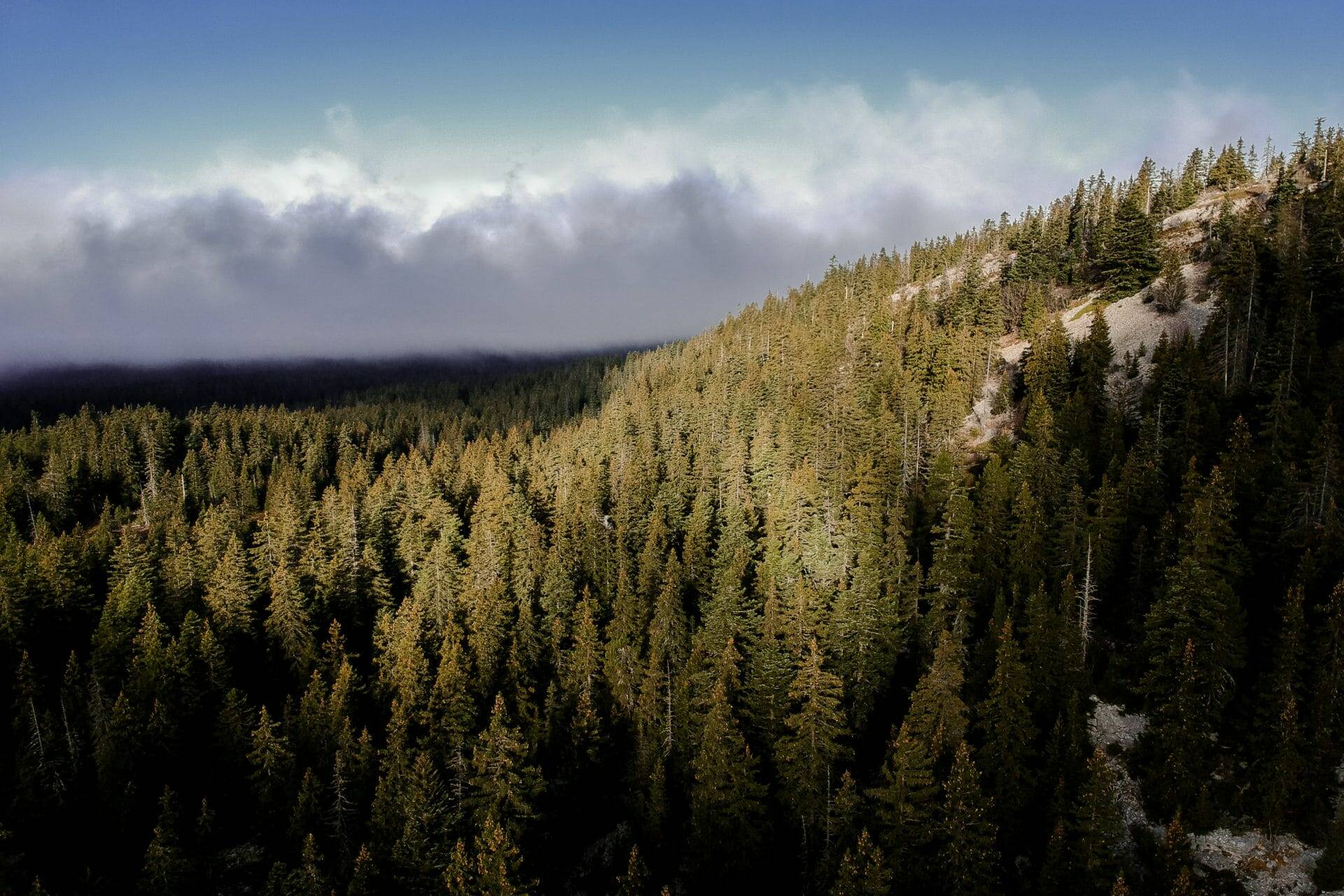 Vue aérienne sur le Vercors