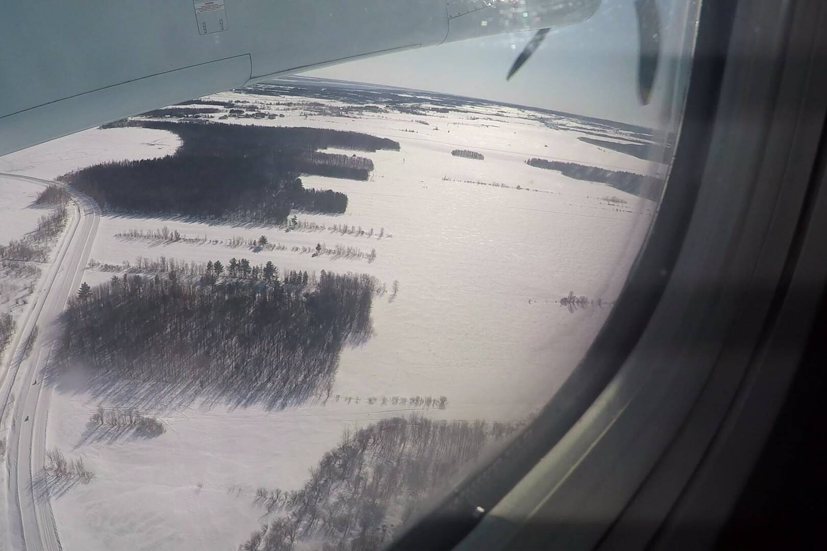 Arrivée au Quebec - Chiens de Traineau