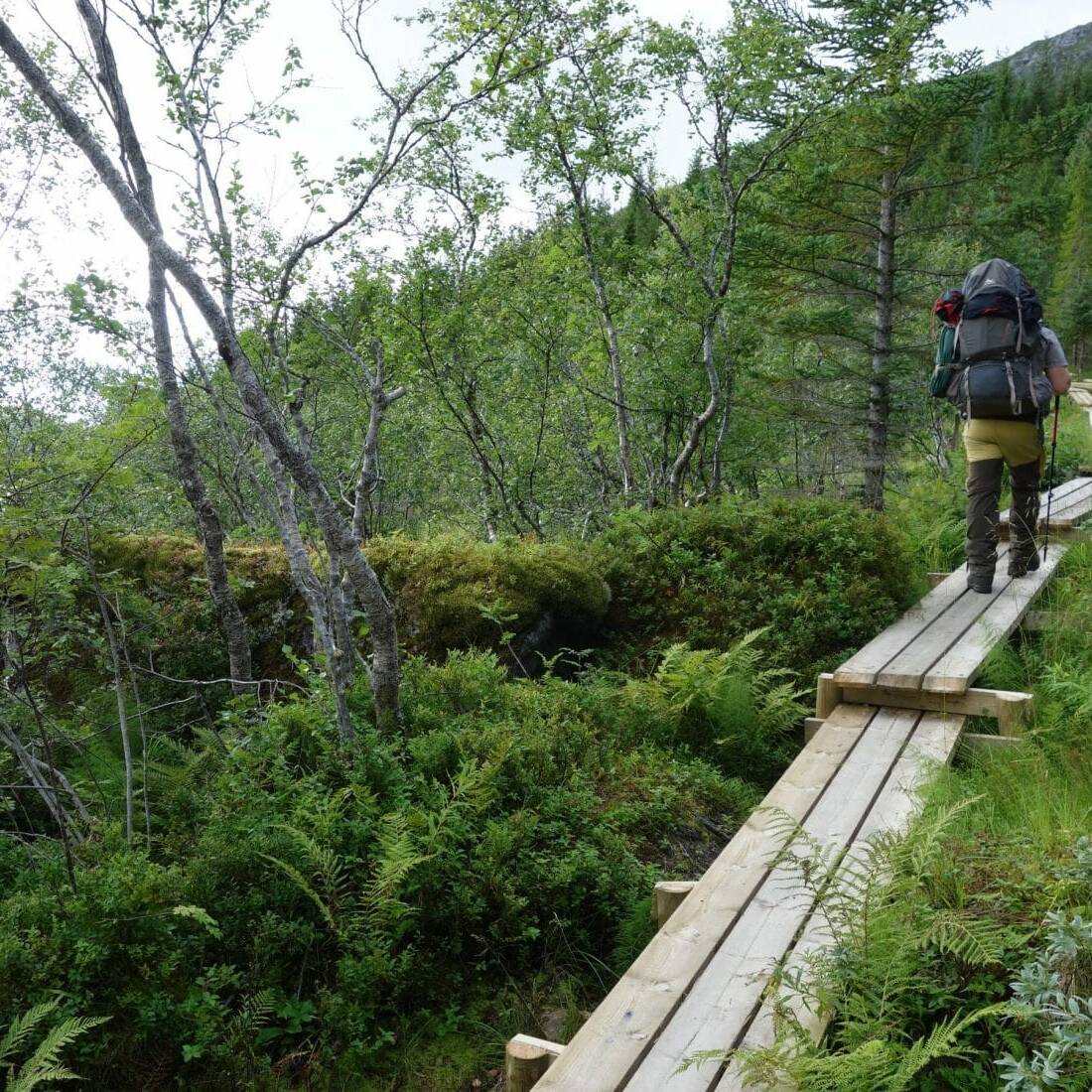 Petit chemin en planches, Iles Lofoten, Norvège