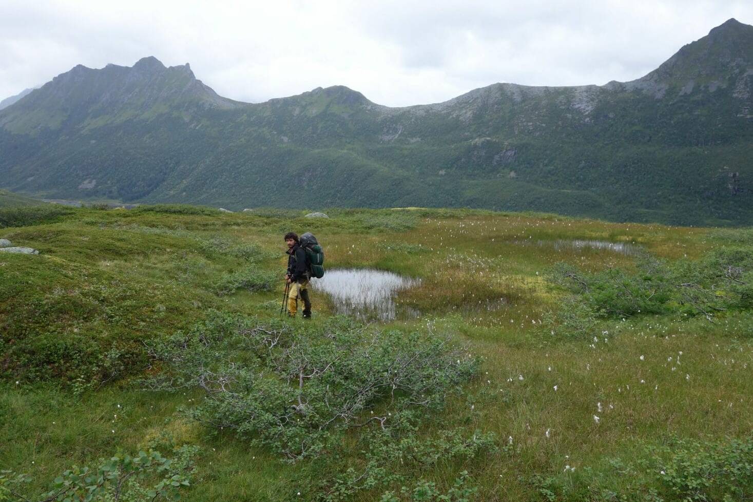 Au fond de l'Olderfjord, Iles Lofoten, Norvège