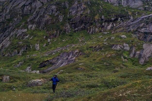 Dans la descente vers l'Olderfjord, Iles Lofoten, Norvège