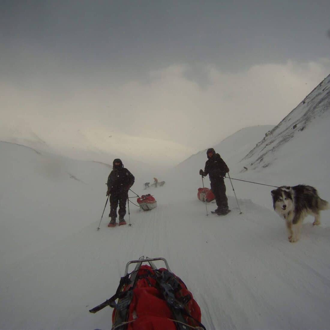 L'équipe, Svalbard
