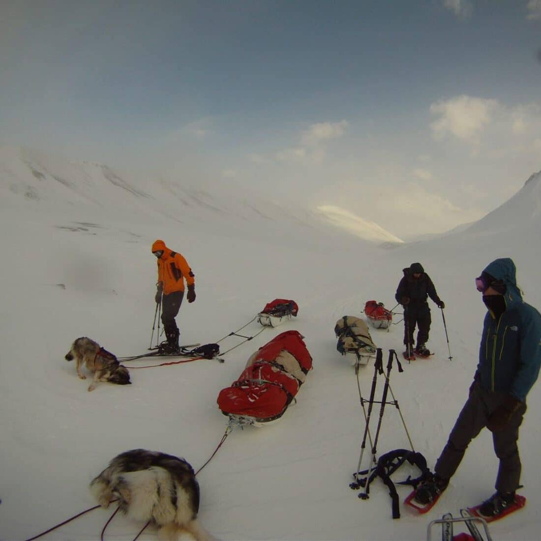 Petite pause, Svalbard