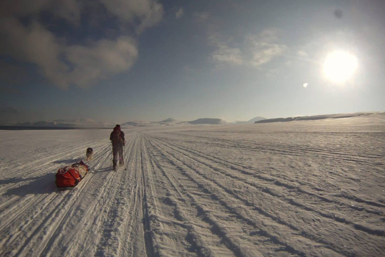 C'est plat... Svalbard