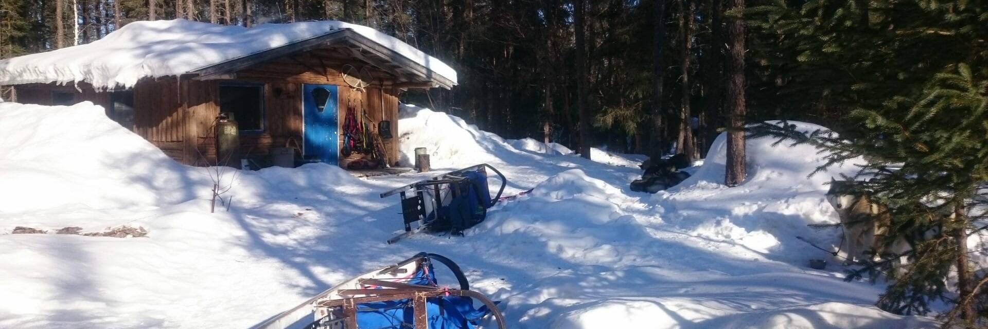 2ème camp - Chien de traineau