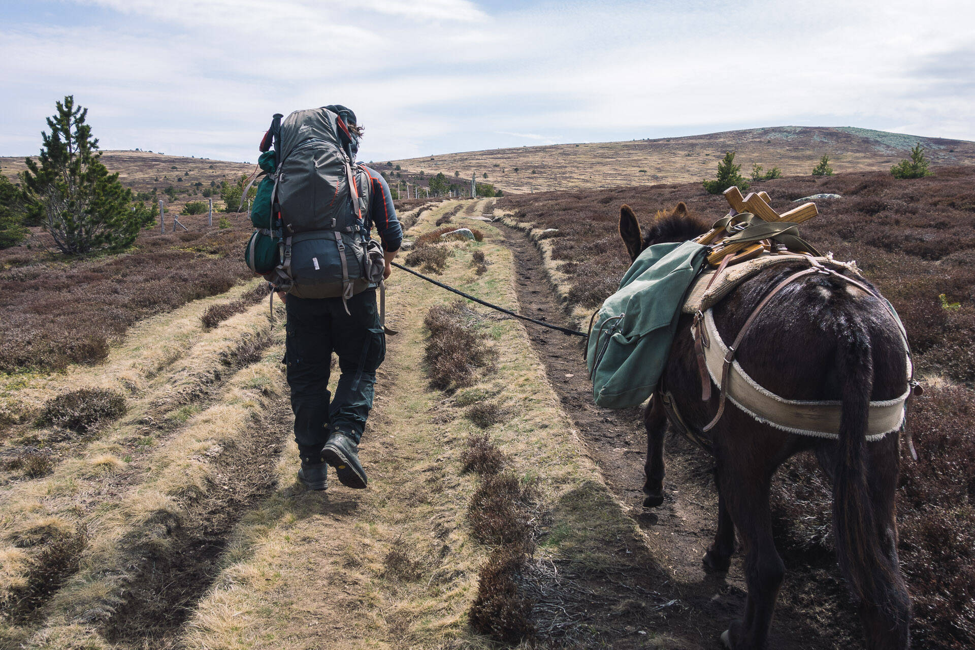 Guillaume et Craquotte - Chemin de Stevenson GR70