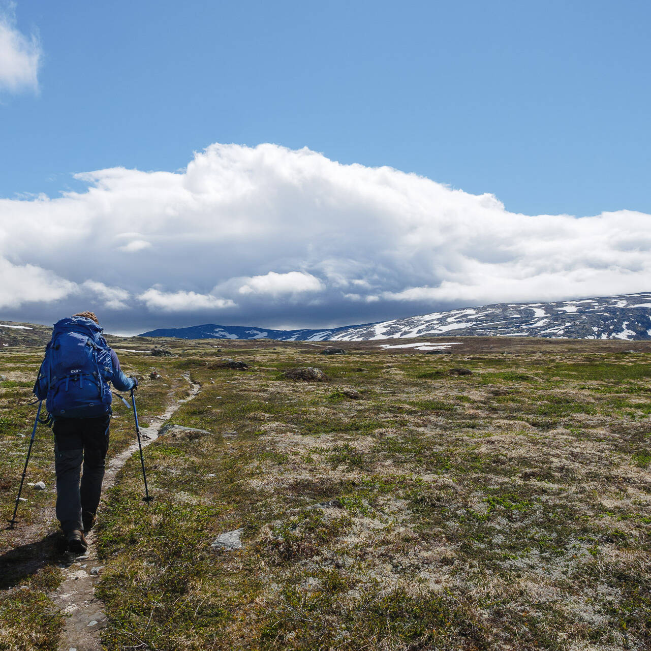 Entrée dans le Dovrefjell - Dovrefjell