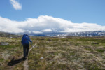 Entrée dans le Dovrefjell - Dovrefjell