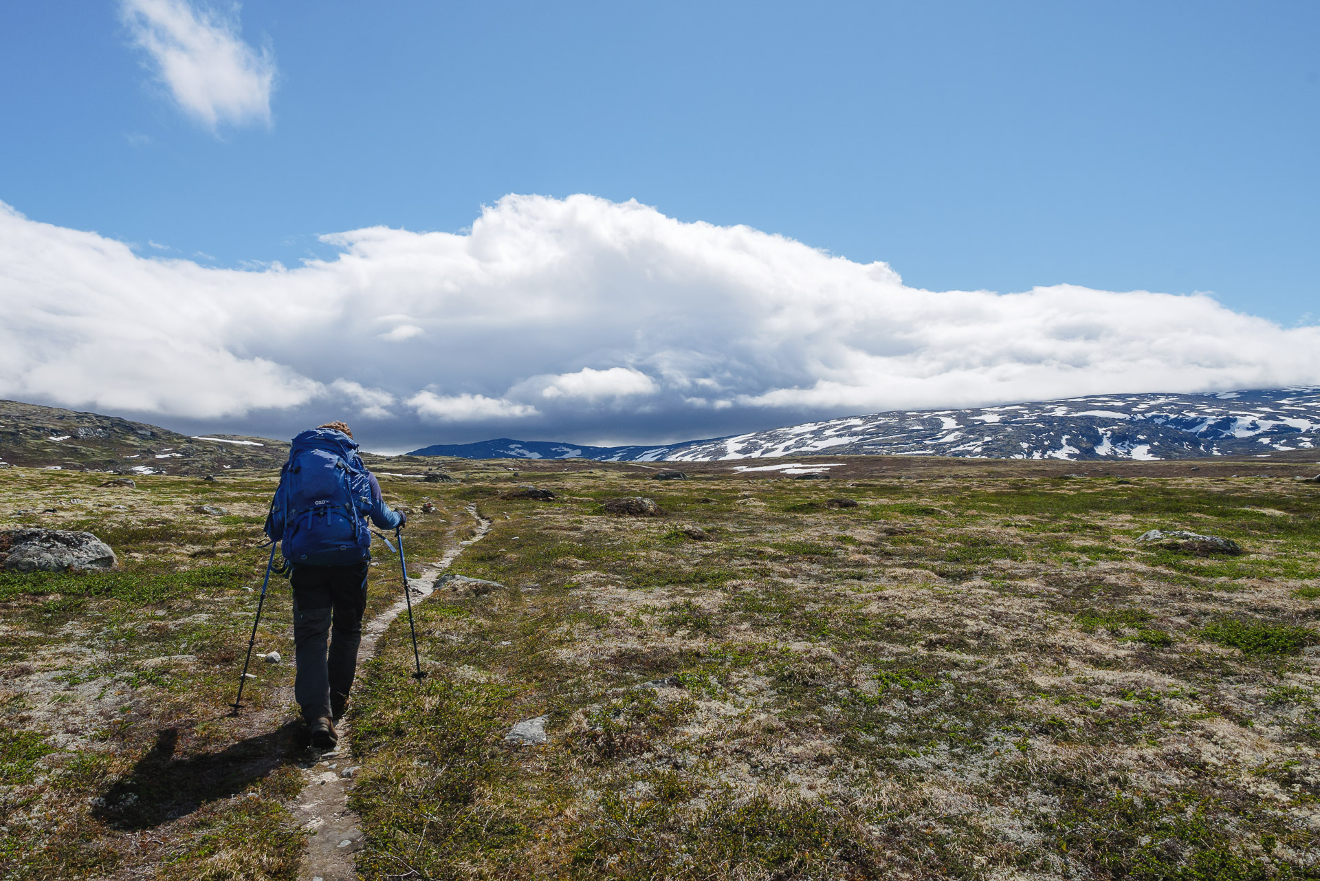 Entrée dans le Dovrefjell - Dovrefjell